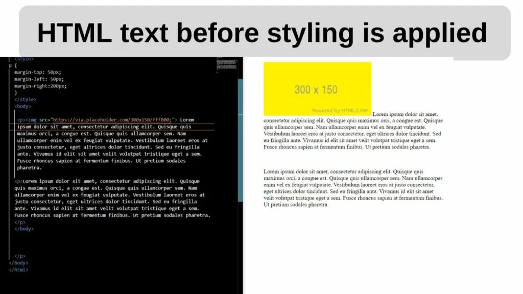 HTML text before styling is applied