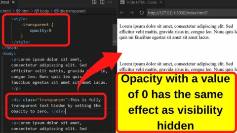 The 6 Best Ways to Hide Text in HTML Code
