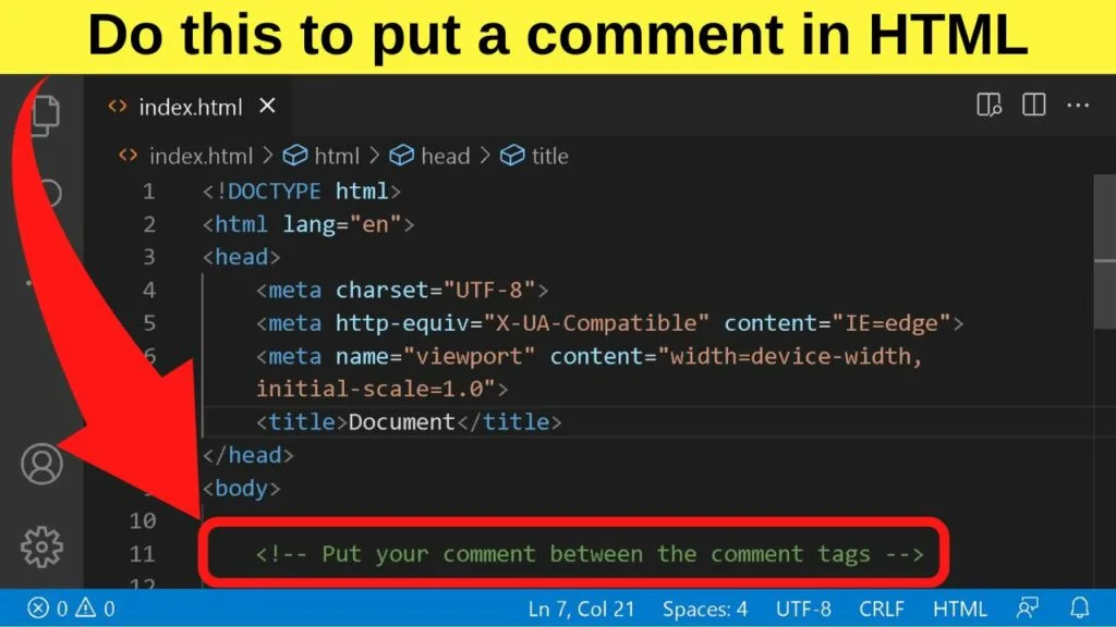 How to put a comment in HTML