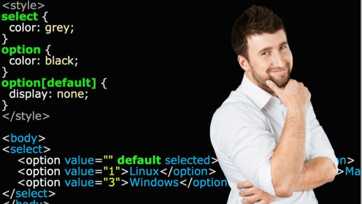 Make a Placeholder for a “Select” Box — 3 Best Ways